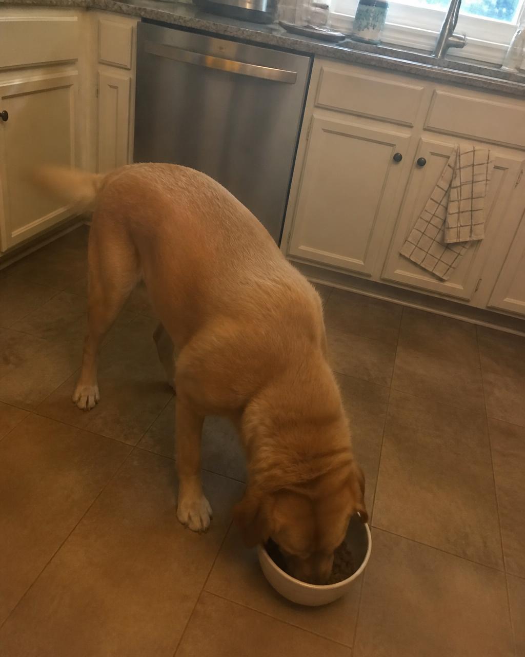 Dinner time with extra care